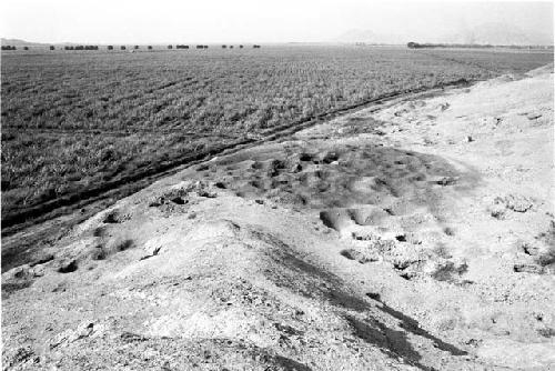 Platform with giant conical adobes at Site 133