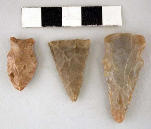 Chipped stone projectile points, one triangular, two side-notched