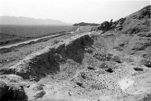 Probable colonial tapia wall across quebrada at Site 140