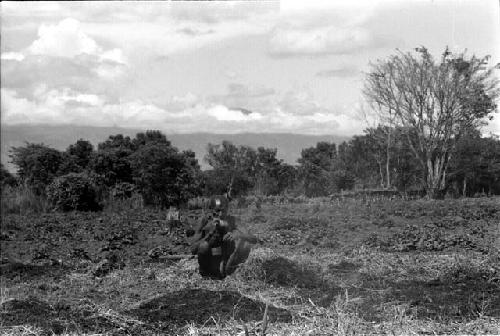 Old man gardening