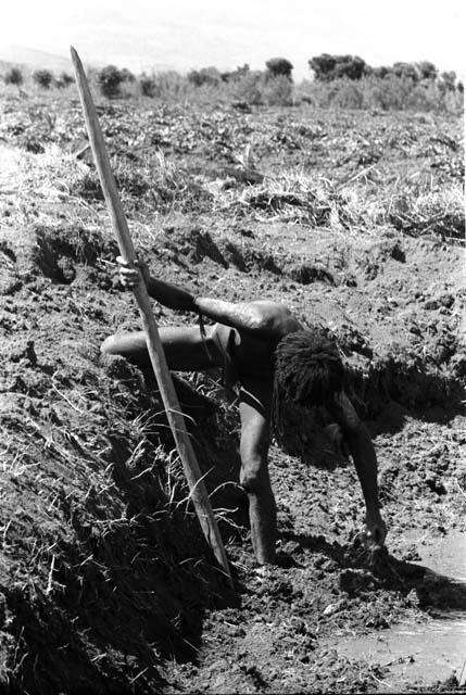 Wali gardening