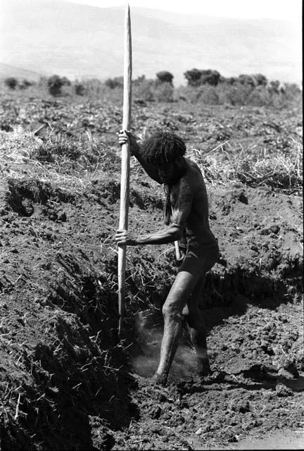 Wali gardening