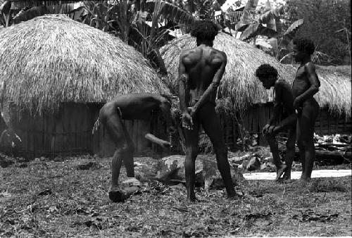 Scraping hair off a pig