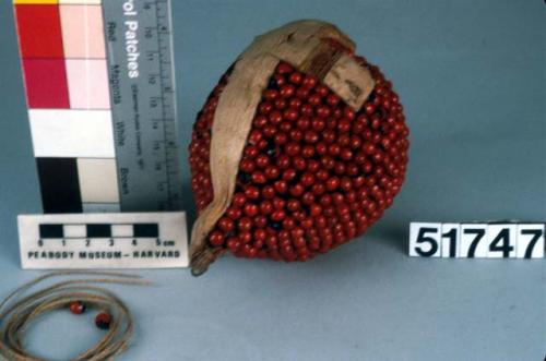 Coconut pendant covered with red guinea peas