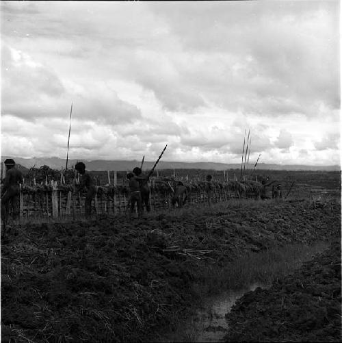 Men digging new garden