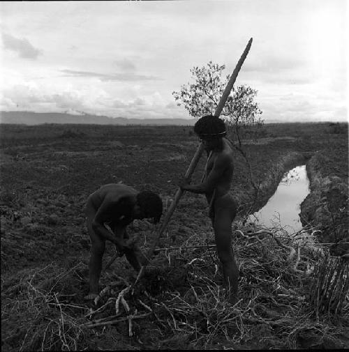 Man sharpening a stick