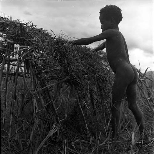 Helé thatching toy roof