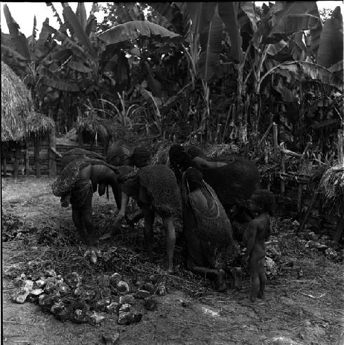 Women dig out the stones and hiperi in the haksé