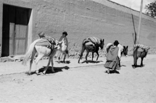 Street scene -- people walking with pack horses and donkeys