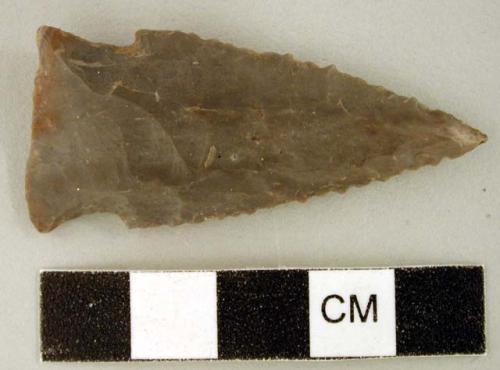 Chipped stone, projectile point, corner-notched and serrated