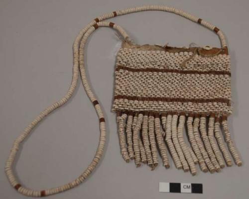 Small bag of ostrich eggshell beads and hide; 18 pendent strings of beads; long beaded strap; 4 eggshell buttons at top opening