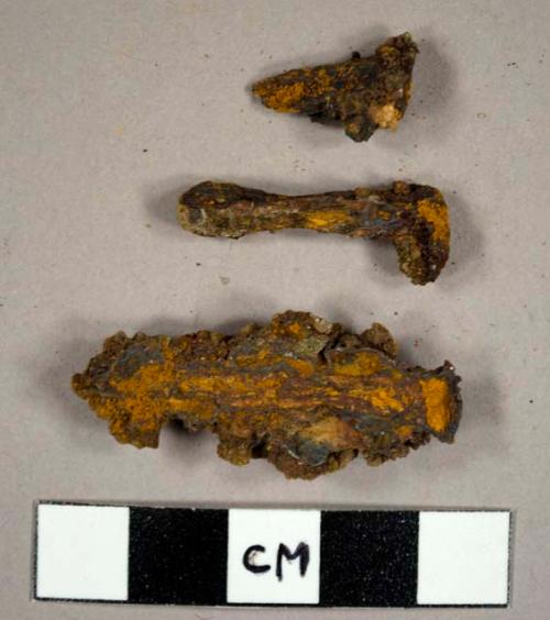 Nails, including one T-headed nail and a possible handwrought tack