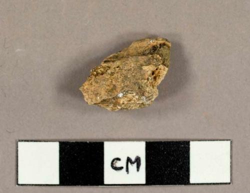 Faunal bone fragment