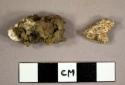 Faunal bone fragments