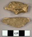 Faunal bone fragments