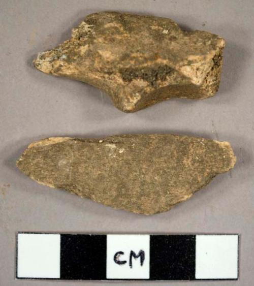 Faunal bone fragments