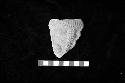 Ceramic sherd from Feature 8