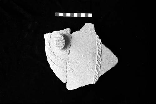 Ceramic sherd with applique lug, incisions and applique ribs with diagonal dent punctates from Site 128