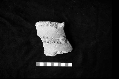 Ceramic sherd from face neck jar from Site 94