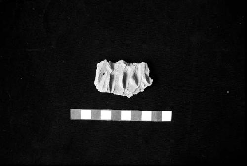 Scallop style grater bowl sherd from Site 128