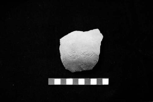 Paddle stamped ceramic sherd with concentric circles from Site 123