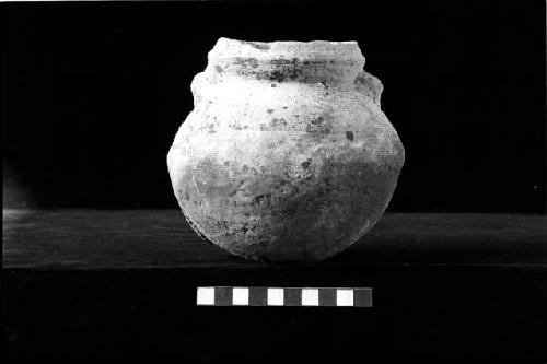 White slipped C neck ceramic vessel from Site 131