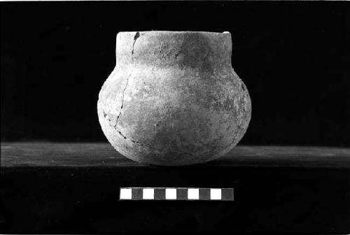 Vertical neck jar from Site 131