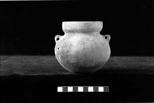 Jar with pierced lug handles from Site 146