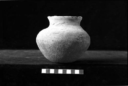 Plain jar from Site 131