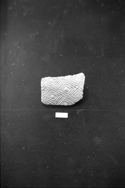 Squared spiral and square with dot paddle stamped ceramic sherd from Site 153