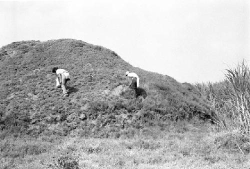 Southern half of mound at Site 48