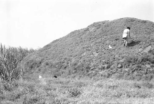 Northern half of mound at Site 48