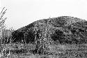 Eastern half of mound at Site 54