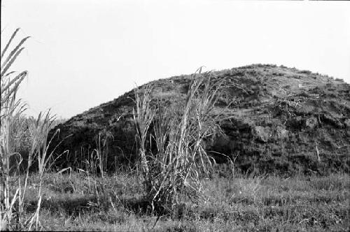 Eastern half of mound at Site 54