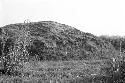 Western half of mound at Site 54