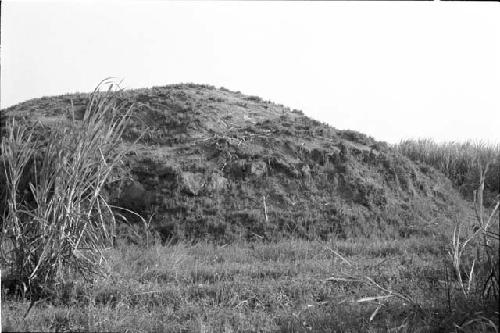Western half of mound at Site 54