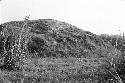 Western half of mound at Site 54