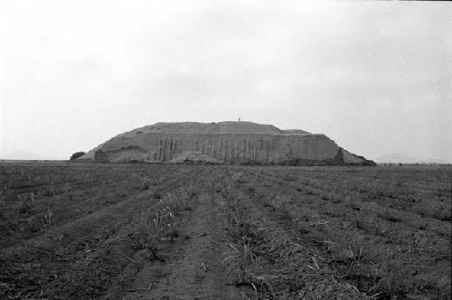 South face of Site 60