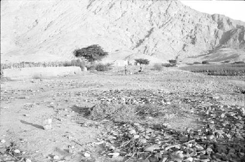 View of terrace top and low mounds at Site 69