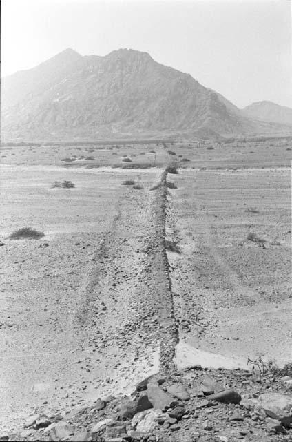 Middle wall of Quebrada de la Monica (Feature 3) and road from terrace edge