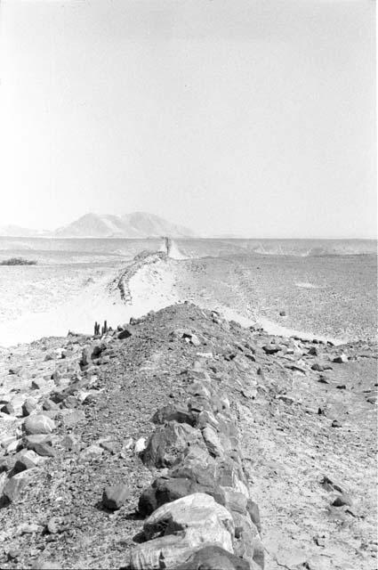 Middle wall of Quebrada de la Monica (Feature 3) and road or wall passing toward Piedra Molina hill