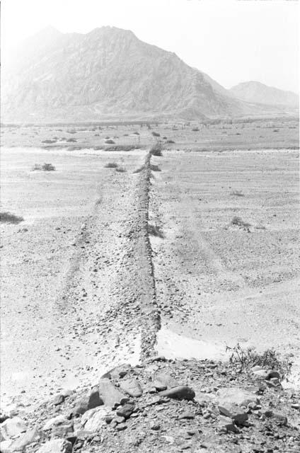 Middle wall of Quebrada de la Monica (Feature 3) and road from terrace edge