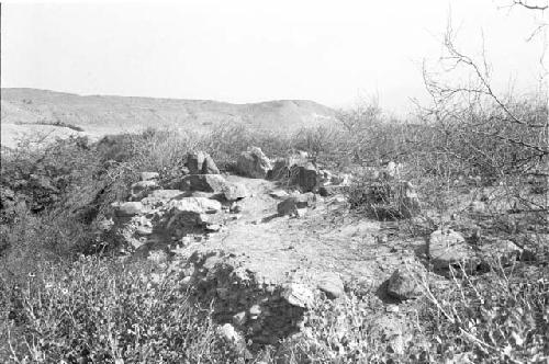 Section of canal (Feature 15) showing construction with upright rocks