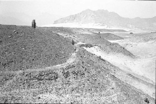 Outside view of canal (Feature 7) along bajada slope