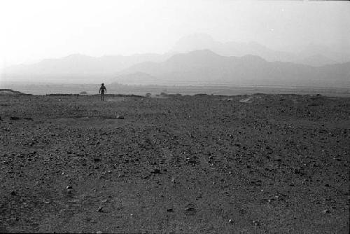 Area of linear markings in ground (Unit 2) at Site 81