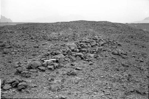 Rock pile and borrow pits above canal (Feature 9) and Sites 87 and 88 on bajada promontory