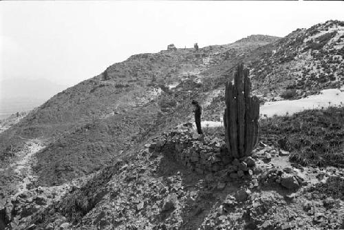 Wall along upper west slope at Site 93, with man standing beside Collection Unit 23