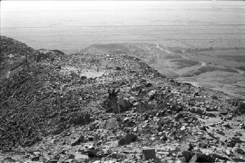 Northwest part of flat ridge top (Unit 33) at Site 93