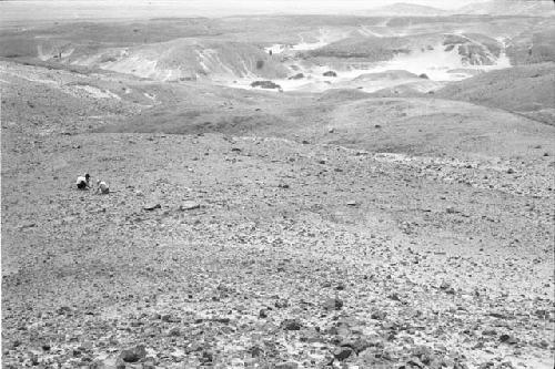 Area with ceramic scatter and windbreak at Site 106