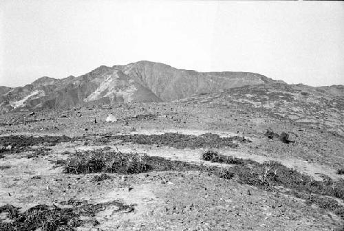 General view of Site 108